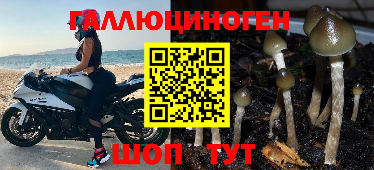 Галлюциногенные грибы ЛСД Тельмана